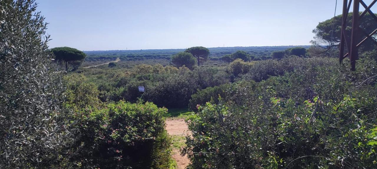 Casa En Loma Sancti Petri A 900 M De La Playa De La Barrosa Villa Chiclana de la Frontera Dış mekan fotoğraf